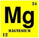 Aliments riche en Magnésium